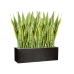 Растение в кашпо Sansevieria trifasciata 'Laurentii' in Capi Lux Terrazzo