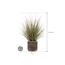 Grass Pennisetum in Baq Luxe Lite Universe Waterfall