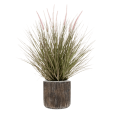 Grass Pennisetum in Baq Luxe Lite Universe Waterfall