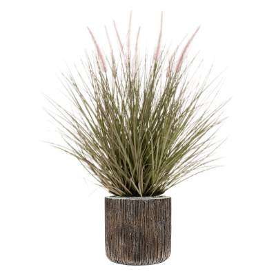 Растение в кашпо Grass Pennisetum in Baq Luxe Lite Universe Waterfall