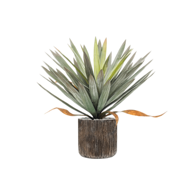 Растение в кашпо Yucca in Baq Luxe Lite Universe Waterfall