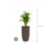 Растение в кашпо Dypsis (Areca) lutescens in Baq Luxe Lite Universe Layer