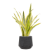 Растение в кашпо Sansevieria trifasciata 'Lauren' in Baq Raindrop