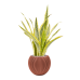 Растение в кашпо Sansevieria 'Lauren' in Capi Nature Groove Special