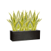 Растение в кашпо Sansevieria trifasciata 'Lauren' in Capi Lux Terrazzo