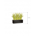 Растение в кашпо Sansevieria trifasciata 'Lauren' in Capi Lux Terrazzo