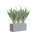 Растение в кашпо Sansevieria trifasciata 'Metallica' in Argento