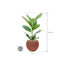 Ficus benghalensis 'Audrey' in Capi Nature Groove Special