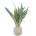 Растение в кашпо Sansevieria trifasciata 'Metallica' in Baq Raindrop