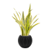 Растение в кашпо Sansevieria trifasciata 'Lauren' in Capi Nature Groove