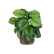 Calathea in Baq Luxe Lite Universe Waterfall