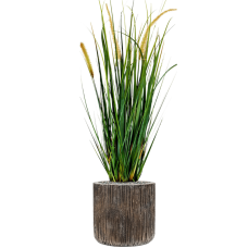 Grass Foxtail in Baq Luxe Lite Universe Waterfall