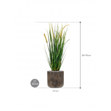 Grass Foxtail in Baq Luxe Lite Universe Waterfall