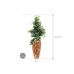 Растение в кашпо Ficus benjamina 'Danielle' in Baq Facets Jenga