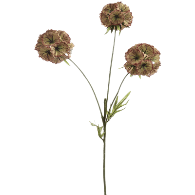 Скабиоза / Scabiosa растение искусственное