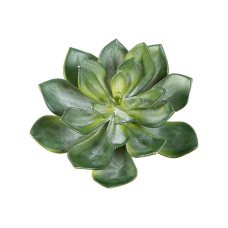 Эхеверия / Echeveria растение искусственное