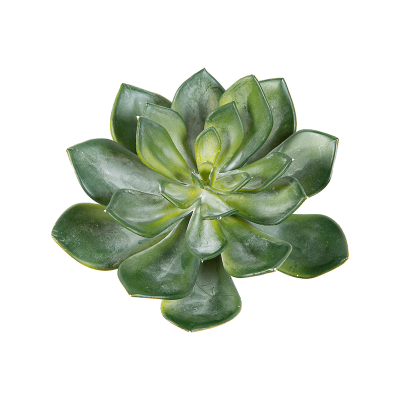 Эхеверия / Echeveria растение искусственное