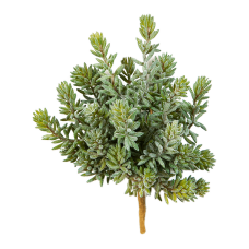 Седум / Sedum растение искусственное