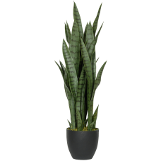 Сансевиерия / Sansevieria растение искусственное