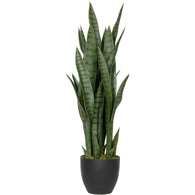 Сансевиерия / Sansevieria растение искусственное