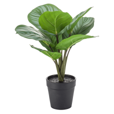 Калатея / Calathea растение искусственное