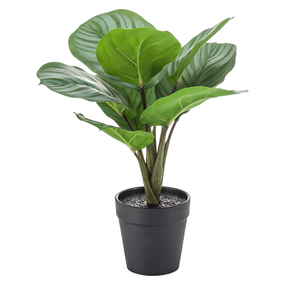 Калатея / Calathea растение искусственное