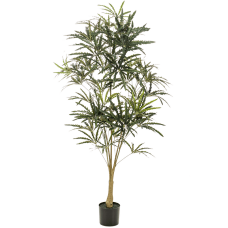 Аралия / Plerandra elegantissima растение искусственное