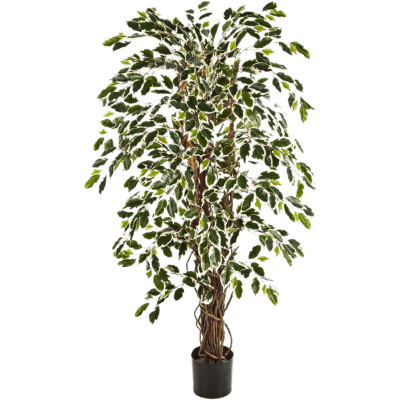 Фикус / Ficus liana Var. растение искусственное