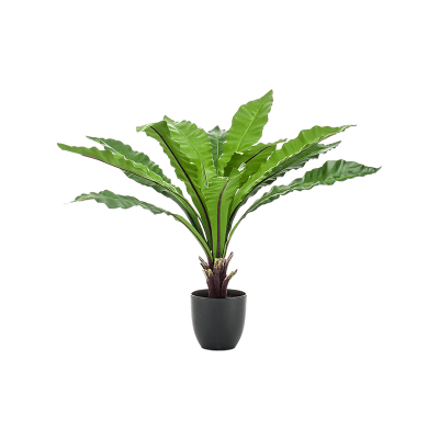 Папоротник / Fern Asplenium растение искусственное