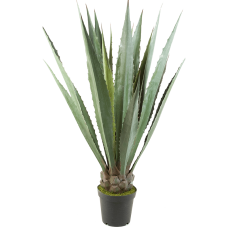 Агава / Agave растение искусственное