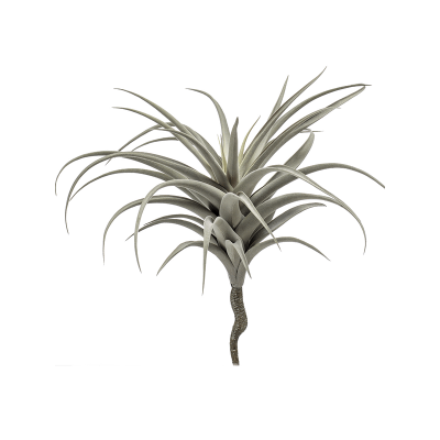 Тилландсия / Tillandsia растение искусственное