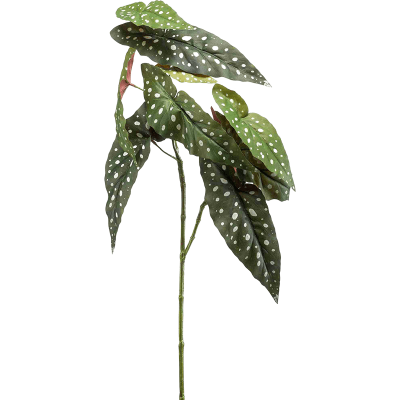 Бегония / Begonia maculata растение искусственное