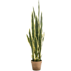 Сансевиерия в кашпо / Sansevieria Var. растение искусственное