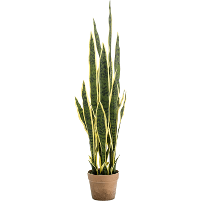 Сансевиерия в кашпо / Sansevieria Var. растение искусственное