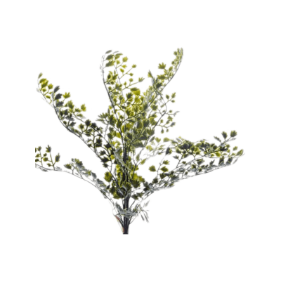 Адиантус / Adianthus растение искусственное