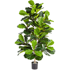 Фикус Лирата / Ficus lyrata растение искусственное