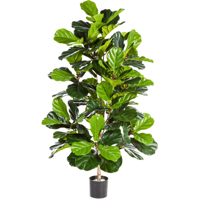 Фикус Лирата / Ficus lyrata растение искусственное