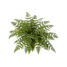 Папоротник / Athyrium fern растение искусственное