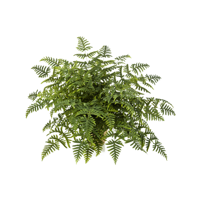 Папоротник / Athyrium fern растение искусственное