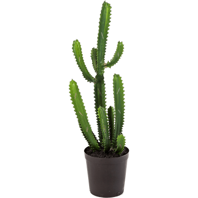 Кактус / Finger cactus растение искусственное