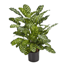 Калатея / Calathea растение искусственное