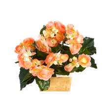Бегония / Begonia растение искусственное