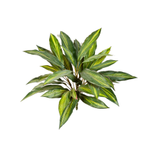 Драцена / Dracaena растение искусственное