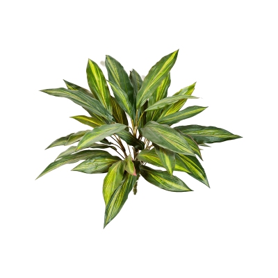 Драцена / Dracaena растение искусственное