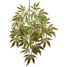 Клен Японский ветка / Japanese maple spray растение искусственное