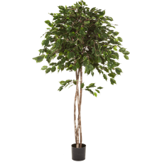 Фикус Экзотика Амбрелла / Ficus exotica umbrella растение искусственное