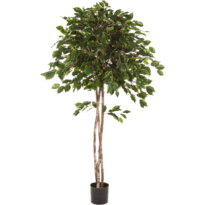 Фикус Экзотика Амбрелла / Ficus exotica umbrella растение искусственное