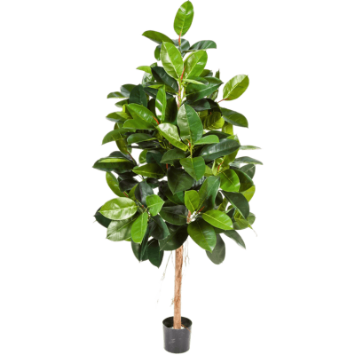 Финик Эластика / Ficus elastica растение искусственное