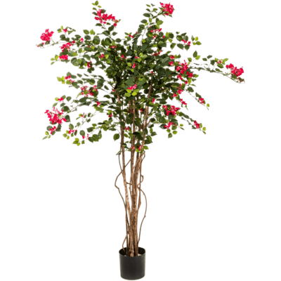 Бугенвилия Нитида в кашпо / Bouganvillea nitida fuchsia растение искусственное