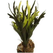 Стагхорн / Staghorn fern растение искусственное